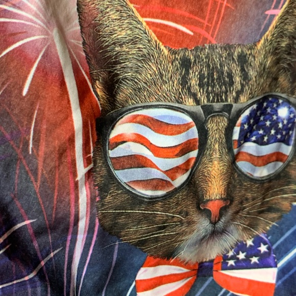 M Crazy Unique CATS & Fireworks Patriotic Shorts!! - Picture 3 of 12